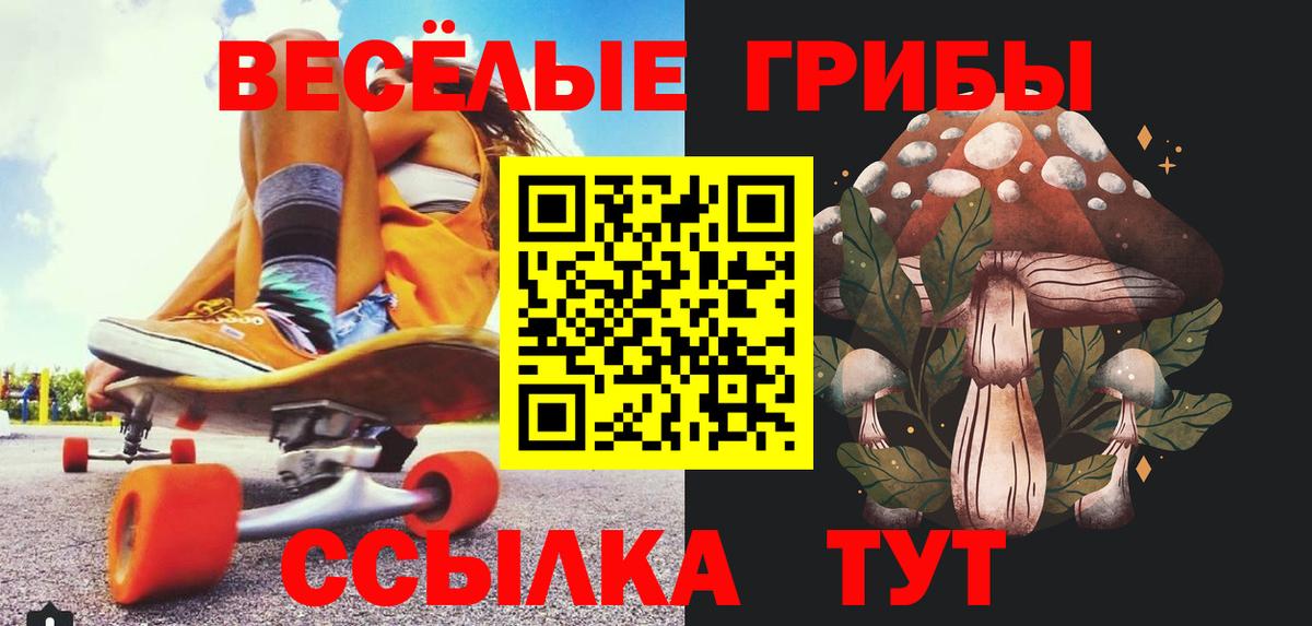 Галлюциногенные грибы GOLDEN TEACHER Амурск